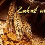 Domande sulla Zakatul-Fitrah (Ayatullah Sistani)